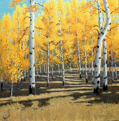 Fall Aspen Grove 12x12 $450 at Hunter Wolff Gallery